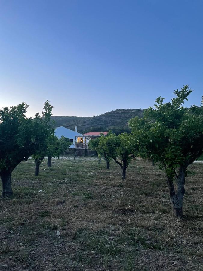 Quinta Da Boa Sorte Estoi Ngoại thất bức ảnh
